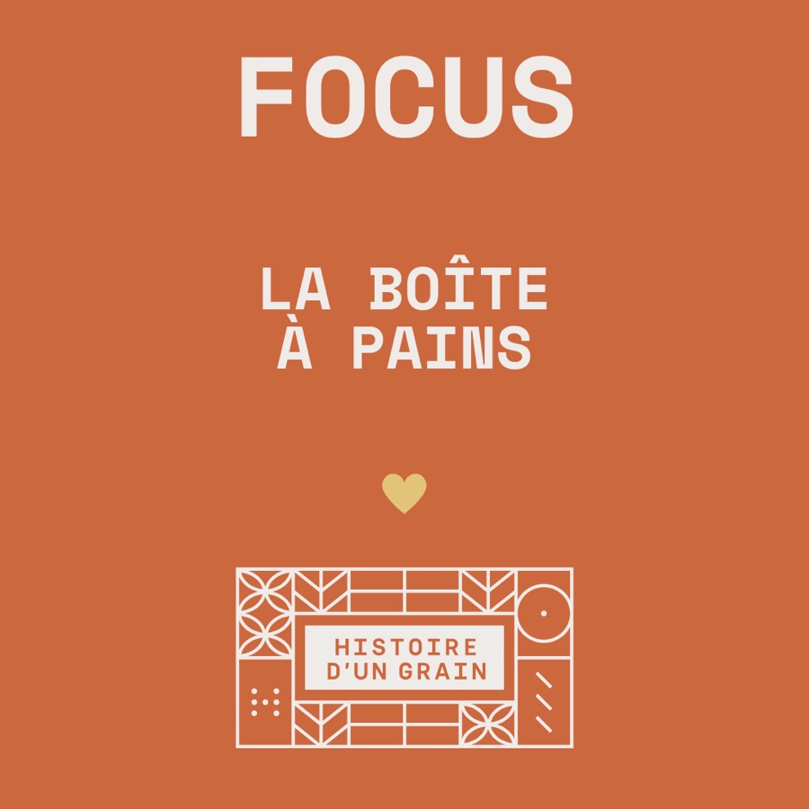 Template « Focus » (variante 2)