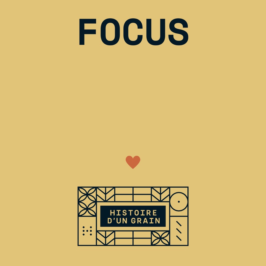 Template « Focus » (variante 3)