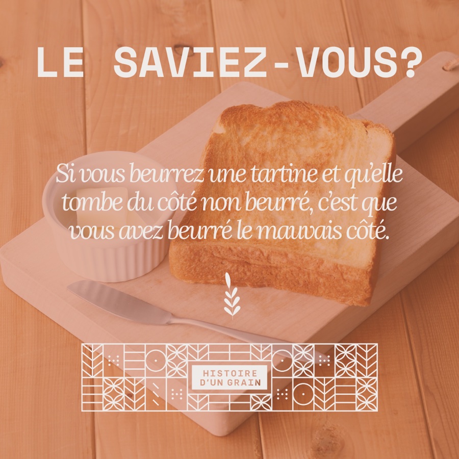 Template « Le saviez-vous ? » (variante 2)
